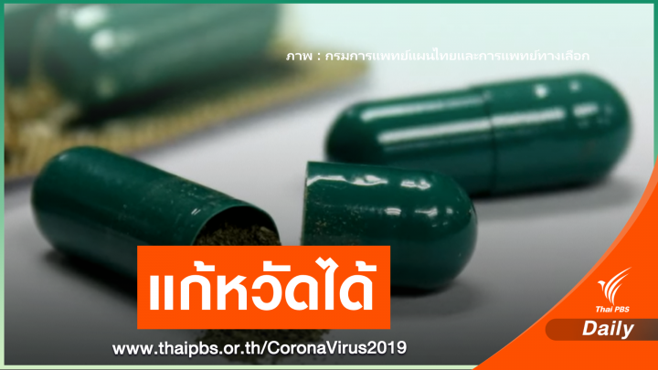 "ฟ้าทะลายโจร" รักษาโรคหวัดได้ ไม่พบหลักฐานยืนยันป้องกันโควิด