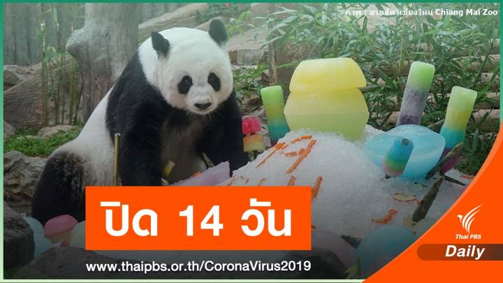 ปิดสวนสัตว์เชียงใหม่ 11-24 เม.ย. นักศึกษาฝึกงานติดโควิด