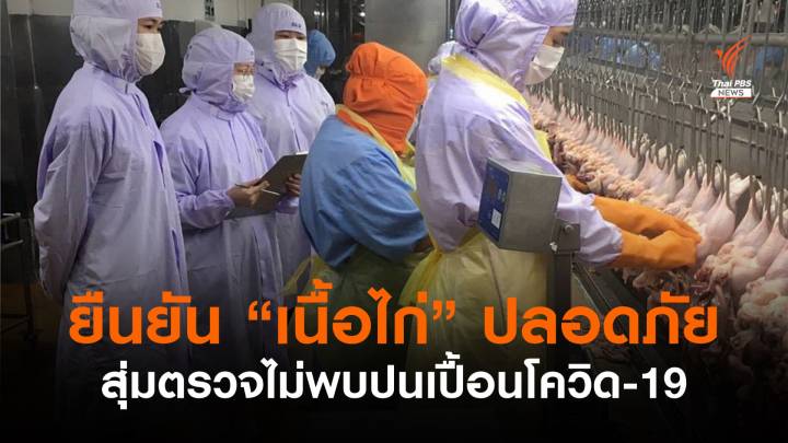 กรมปศุสัตว์ยืนยันเนื้อไก่ปลอดภัย สุ่มตรวจไม่พบปนเปื้อนโควิด-19