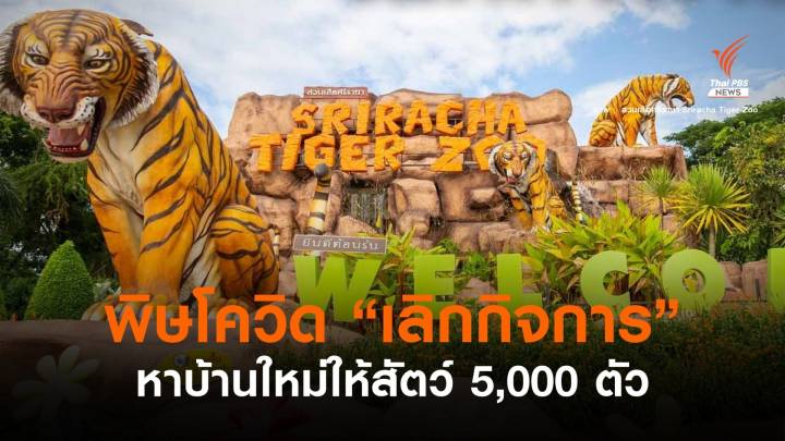 "สวนเสือศรีราชา" ประกาศเลิกกิจการ หาบ้านใหม่ให้สัตว์ 5,000 ตัว