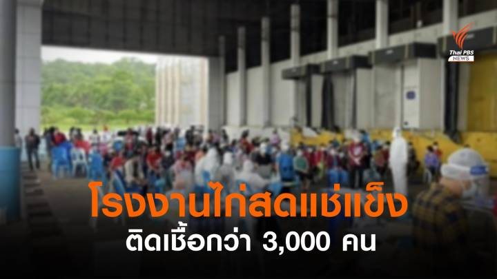 โรงงานไก่สดแช่แข็ง จ.เพชรบูรณ์ พบติดเชื้อกว่า 3,000 คน