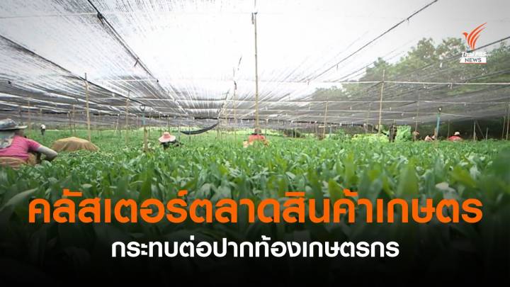 คลัสเตอร์ตลาดสินค้าเกษตรกระทบเกษตรกร