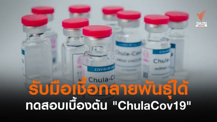 ผลทดสอบเบื้องต้น "ChulaCov19" ยับยั้งเชื้อกลายพันธุ์ 4 สายพันธุ์