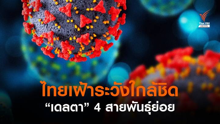 ไทยเฝ้าระวัง "เดลตา" 4 สายพันธุ์ย่อย พบ 14 คนใน 8 จังหวัด