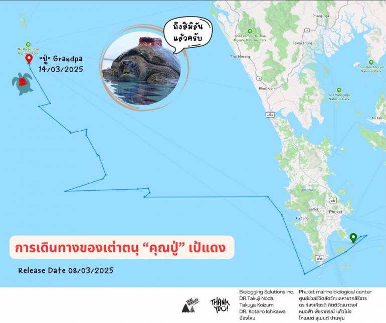 ที่มา : ThaiWhales