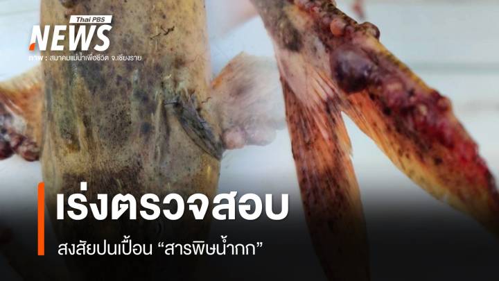 พบ “ปลาแม่น้ำกก” ผิวเป็นตุ่ม วอนหน่วยงานเร่งตรวจสอบ โยงสารพิษแม่น้ำกกหรือไม่