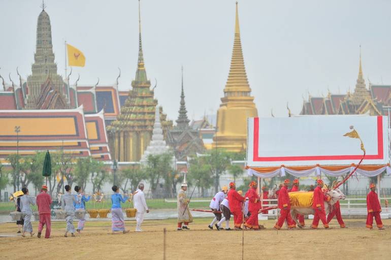 ภาพจาก : กระทรวงเกษตรและสหกรณ์
