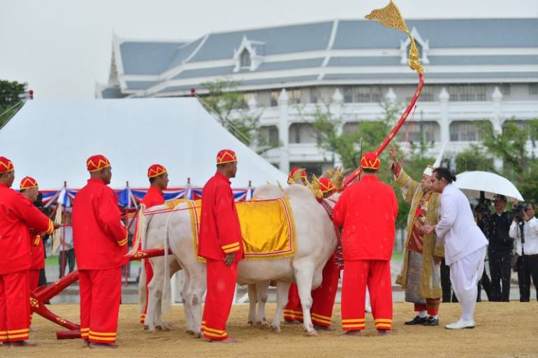 ภาพจาก - กระทรวงเกษตรและสหกรณ์ ซ้อมใหญ่ ครั้งที่ 1 เพื่อเตรียมความพร้อมพระราชพิธีพืชมงคลจรดพระนังคัลแรกนาขวัญ ประจำปี 2568 ณ มณฑลพิธีท้องสนามหลวง