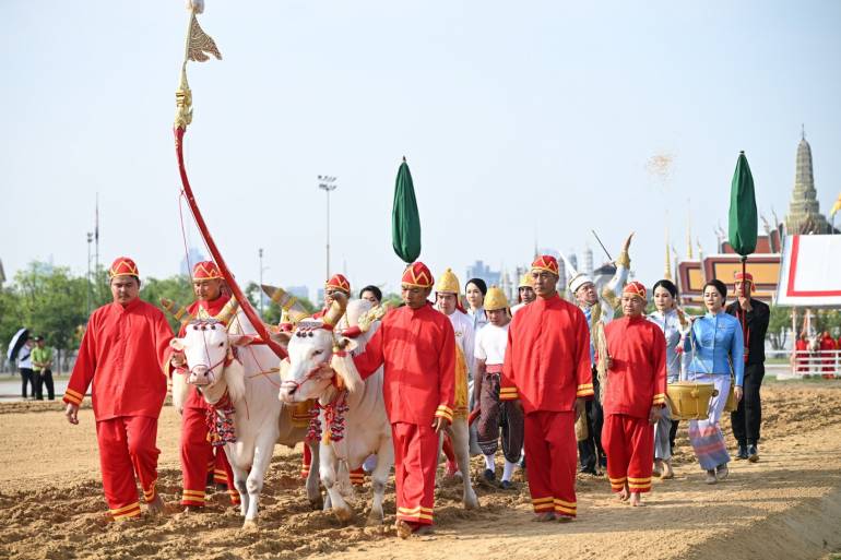 ภาพจาก - กระทรวงเกษตรและสหกรณ์ ซ้อมใหญ่ ครั้งที่ 1 เพื่อเตรียมความพร้อมพระราชพิธีพืชมงคลจรดพระนังคัลแรกนาขวัญ ประจำปี 2568 ณ มณฑลพิธีท้องสนามหลวง