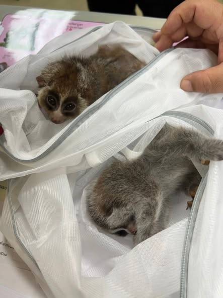 ภาพ : กรมอุทยานฯ 