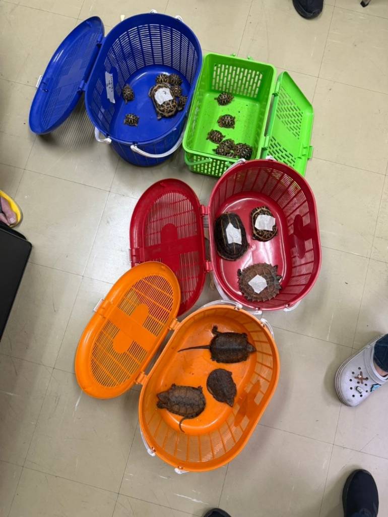 ภาพ : กรมอุทยานฯ 