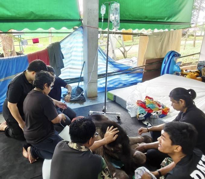 ภาพ กรมอุทยานฯ