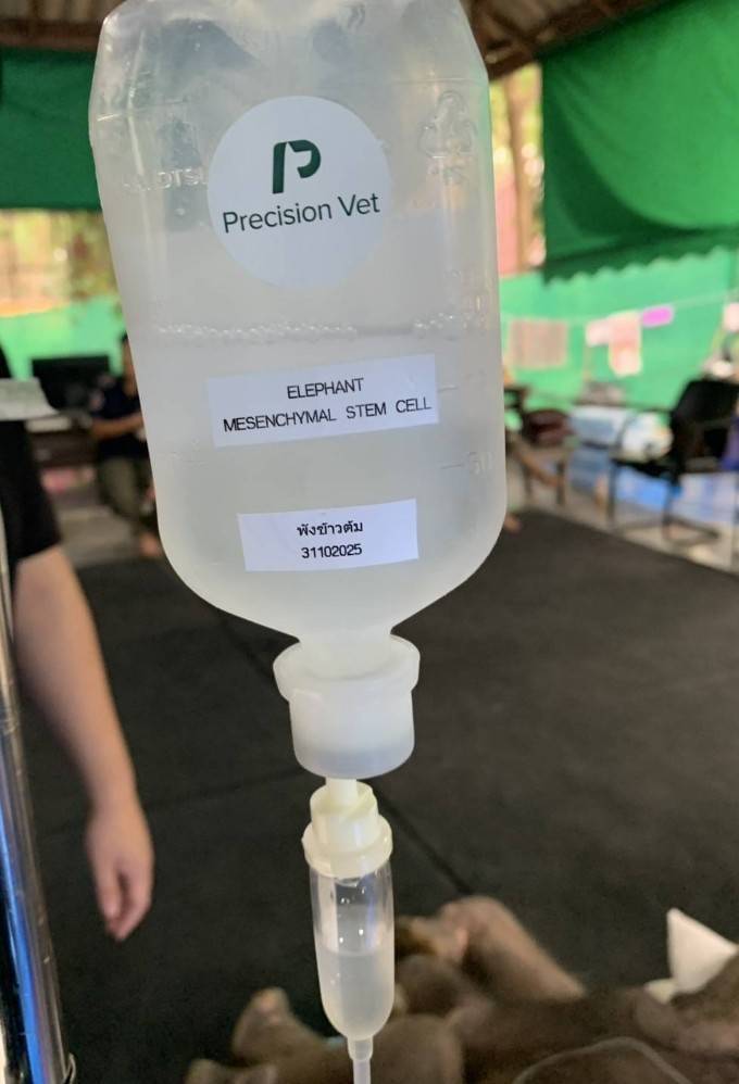 ภาพ กรมอุทยานฯ