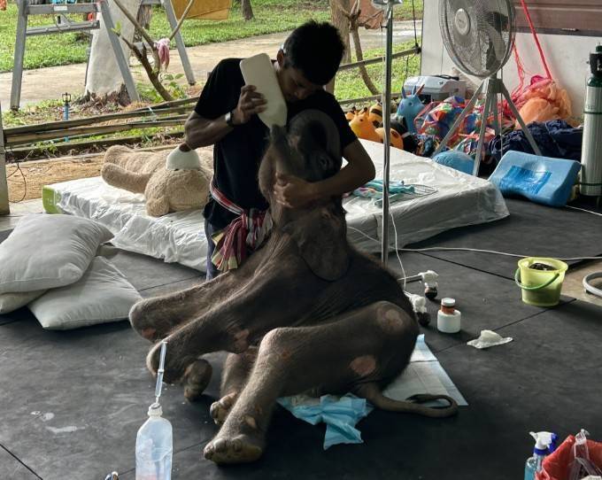 ภาพ กรมอุทยานฯ