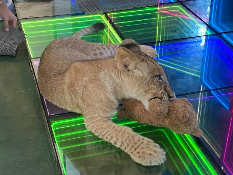 กรมอุทยานฯ