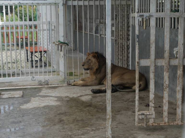 กรมอุทยานฯ