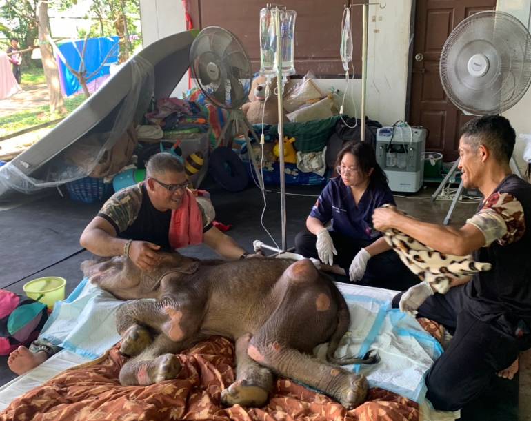 ภาพ : เขตห้ามล่าสัตว์ป่าบึงฉวาก