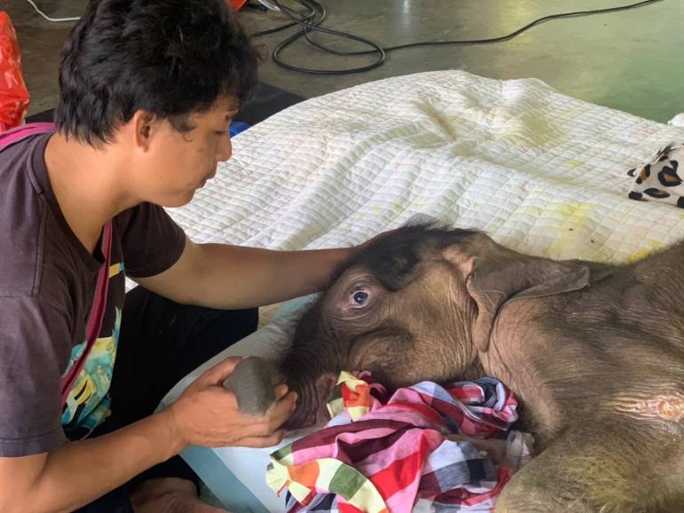 ภาพ : เขตห้ามล่าสัตว์ป่าบึงฉวาก