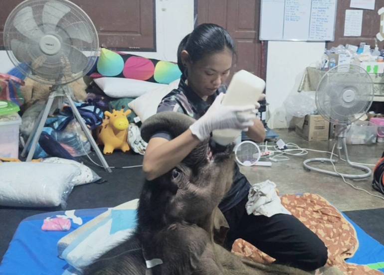 ภาพ : เขตห้ามล่าสัตว์ป่าบึงฉวาก