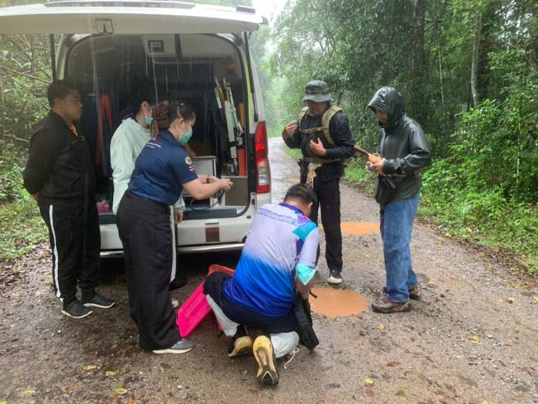 ภาพ : กรมอุทยานแห่งชาติ สัตว์ป่า และพันธุ์พืช