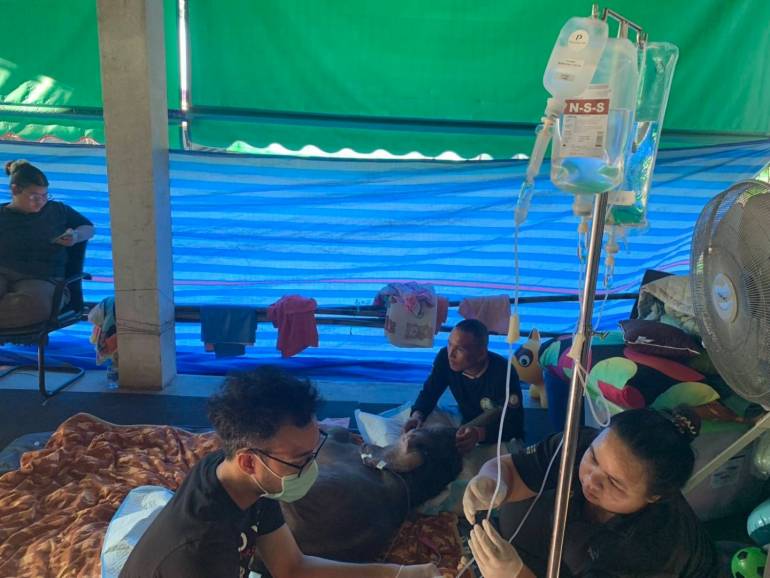 ภาพ : กรมอุทยานฯ 