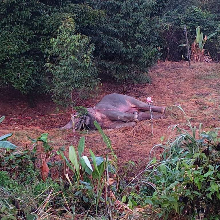 ภาพ : อุทยานแห่งชาติเขาคิชฌกูฏ