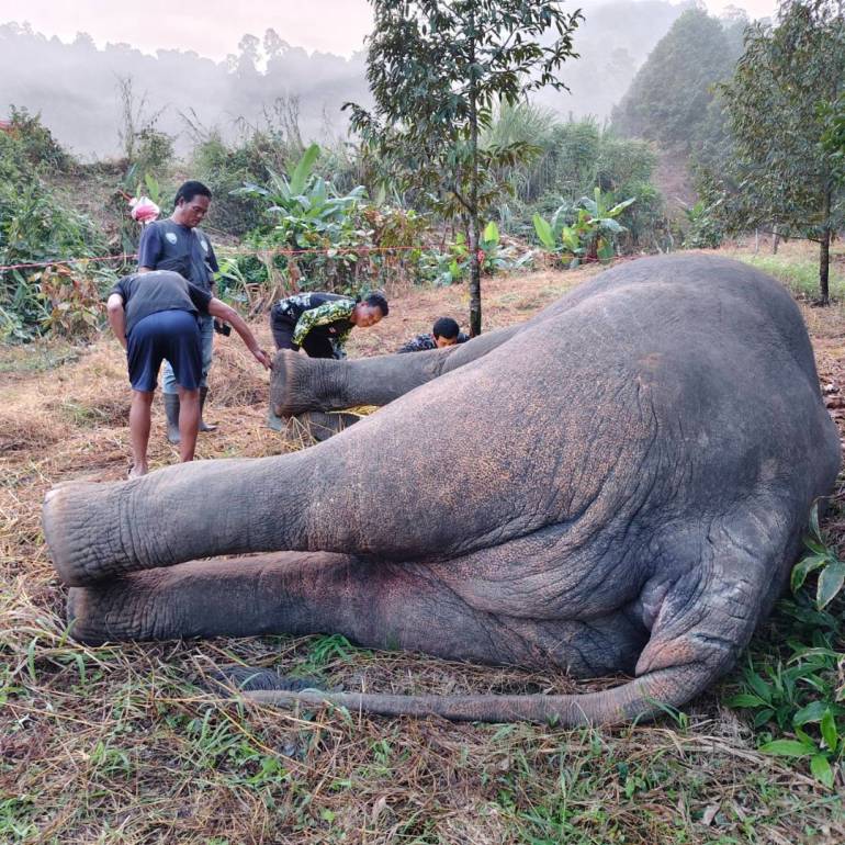 อุทยานแห่งชาติเขาคิชฌกูฏ