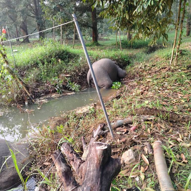 อุทยานแห่งชาติเขาคิชฌกูฏ