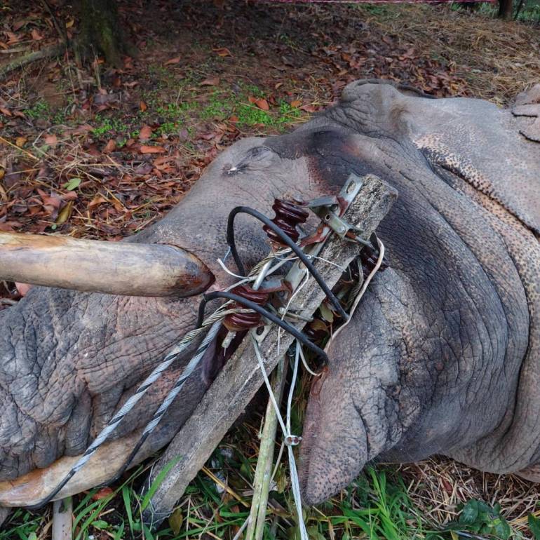 อุทยานแห่งชาติเขาคิชฌกูฏ