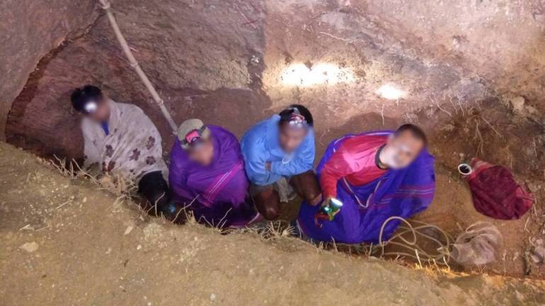 ภาพ : กรมอุทยานฯ