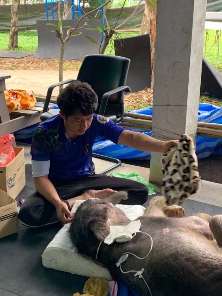 ภาพ : กรมอุทยานฯ