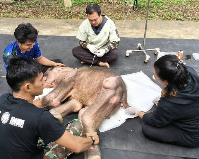 ภาพ : กรมอุทยานฯ