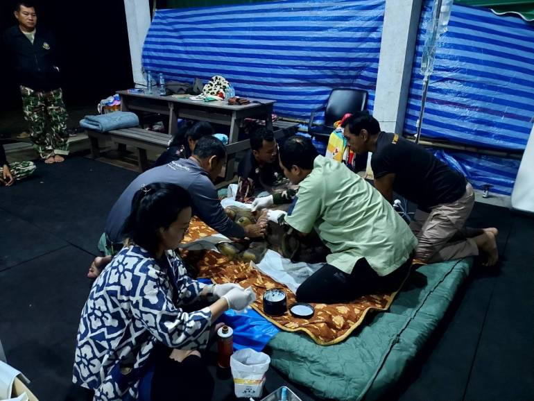 ภาพ : กรมอุทยานฯ