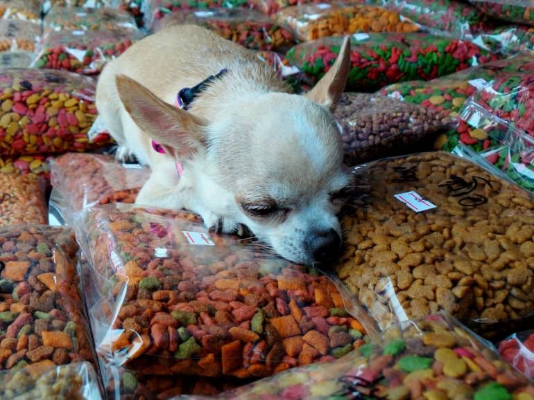 ภาพประกอบข่าว