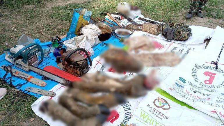 ภาพ และ ข้อมูล : กรมอุทยานแห่งชาติ สัตว์ป่า และพันธุ์พืช