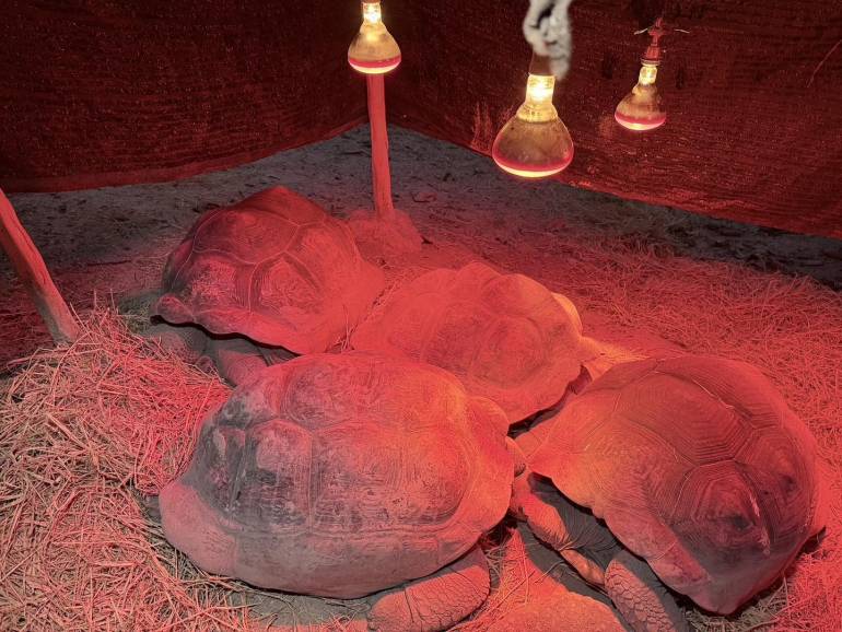 ที่มา : สวนสัตว์เชียงใหม่ Chiang Mai Zoo