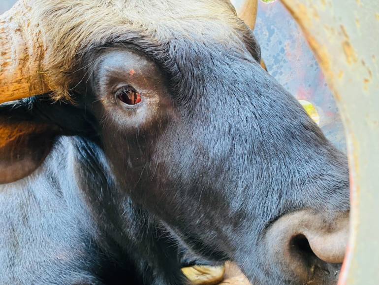 ภาพ : กรมอุทยานฯ 