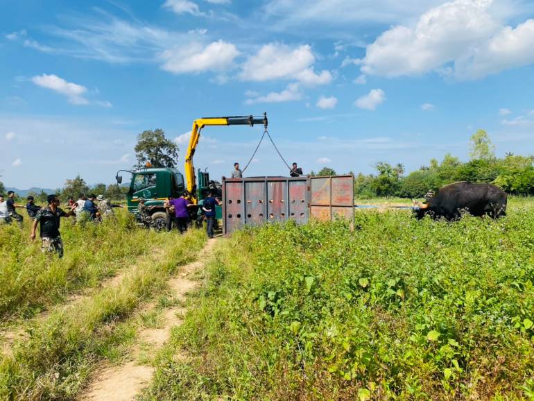 ภาพ : กรมอุทยานฯ 