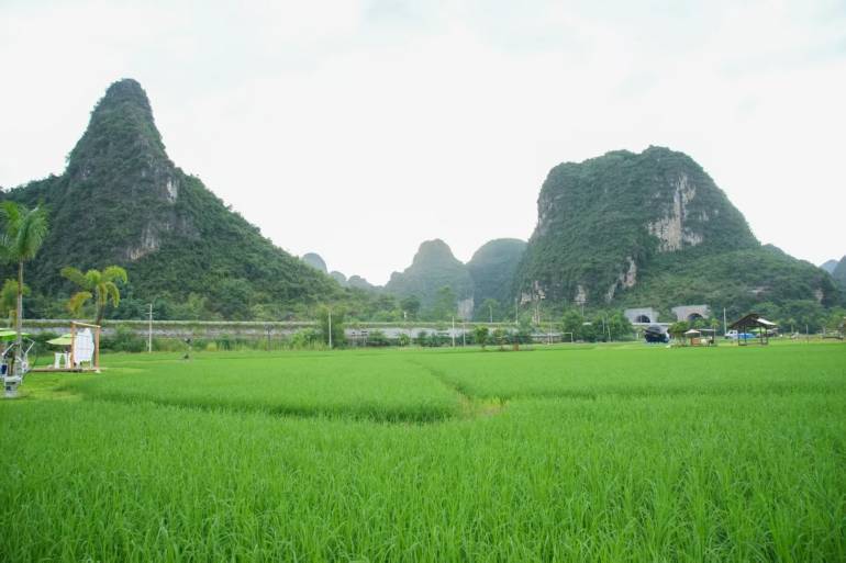 หมู่บ้านหมิงซื่อ “แกลเลอรีภูมิทัศน์แห่งพรมแดนจีน-เวียดนาม”