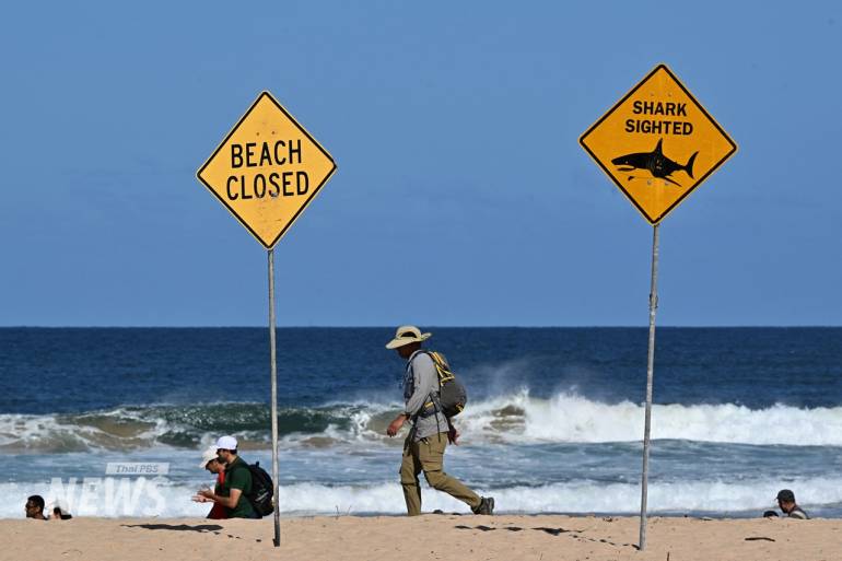 ประชาชนเดินตามแนวชายหาดในออสเตรเลีย หลังมีการสั่งปิดชายหาดหลายแห่งในซิดนีย์ชั่วคราว จากเหตุฉลามโจมตีนักเล่นเซิร์ฟที่หาดลอง รีฟ