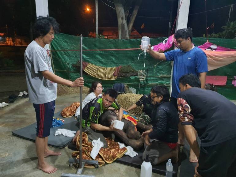 ภาพ : กรมอุทยานแห่งชาติ สัตว์ป่า และพันธุ์พืช