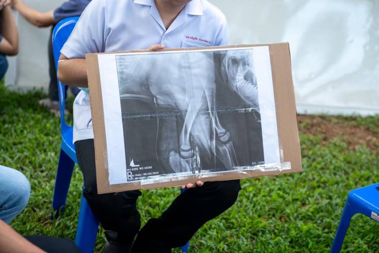 ภาพ : โรงพยาบาลช้าง ศูนย์อนุรักษ์ช้างไทย