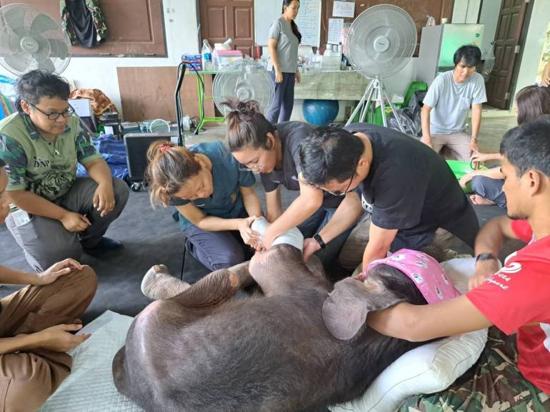 ภาพ : กรมอุทยานฯ