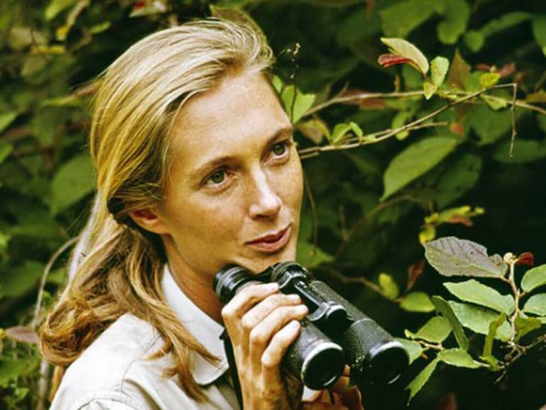 ที่มา : Jane Goodall Institute