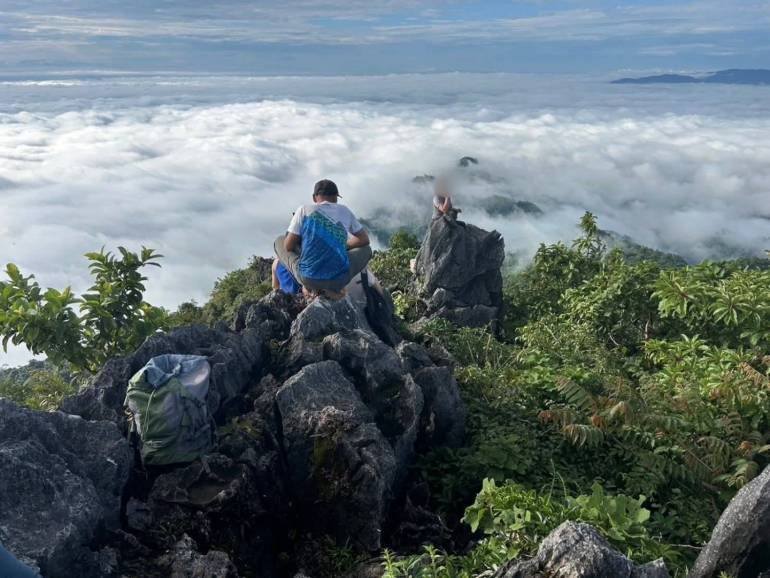 ภาพ : กรมอุทยานแห่งชาติ สัตว์ป่า และพันธุ์พืช