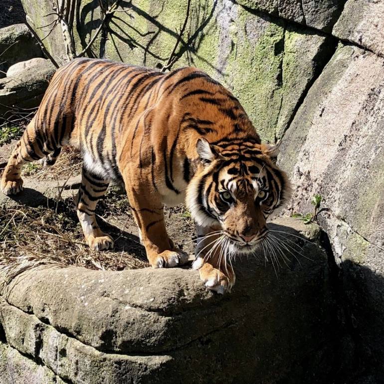 ที่มา : Aalborg Zoo