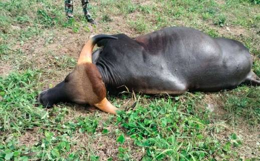 ภาพ : อุทยานฯ แก่งกระจาน