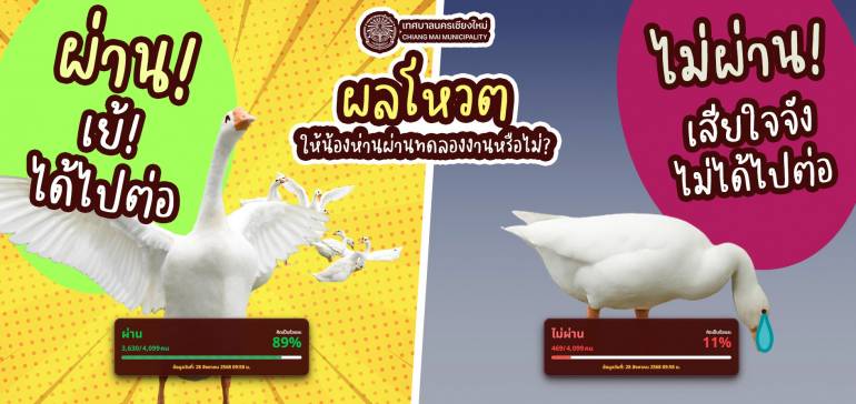 ที่มา : เทศบาลนครเชียงใหม่