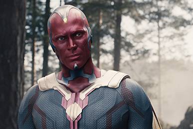 Vision ภาพจาก Wikipedia