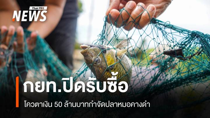 กยท.ปิดโควตารับซื้อปลาหมอคางดำครบวงเงิน 50 ล้าน